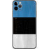 Estonia Flag Distressed iPhone 11 Pro Max Skin